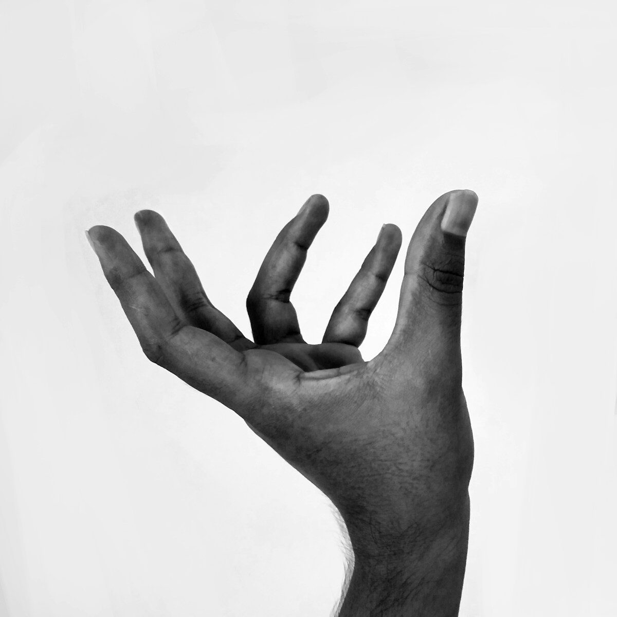 La main et ses lignes